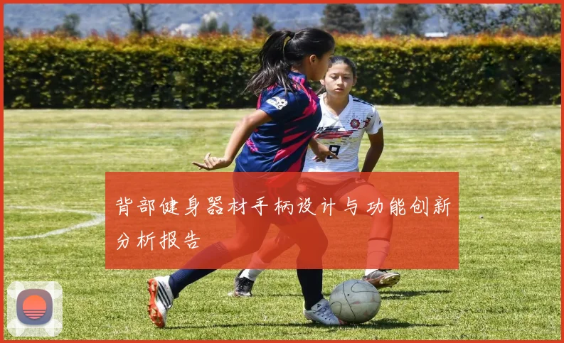 背部健身器材手柄设计与功能创新分析报告