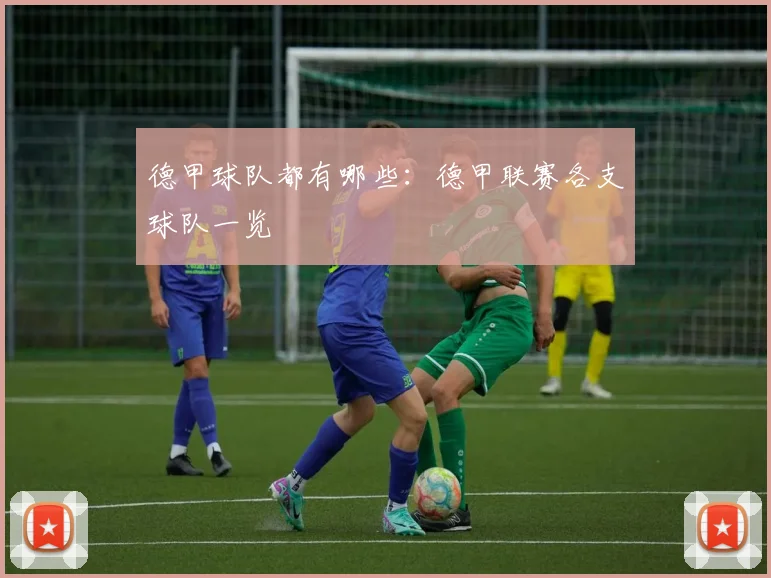 德甲球队都有哪些：德甲联赛各支球队一览