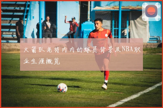火箭队老将内内的球员背景及NBA职业生涯概览