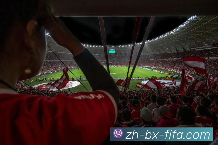 世界杯赛程服务体系